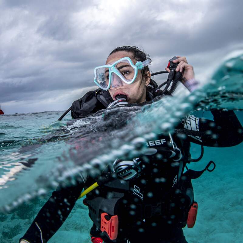 Core Diver Courses