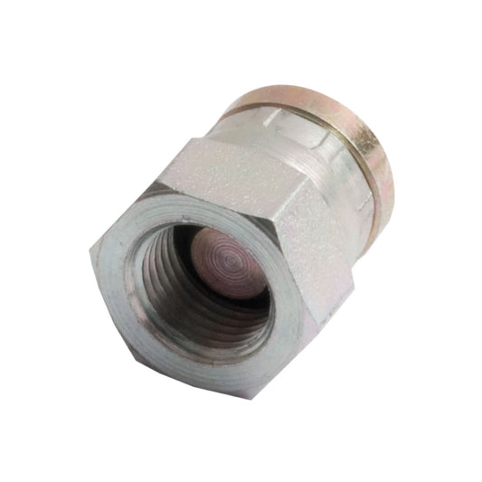 BSP Female Blanking Caps 1/8" BSP F SW