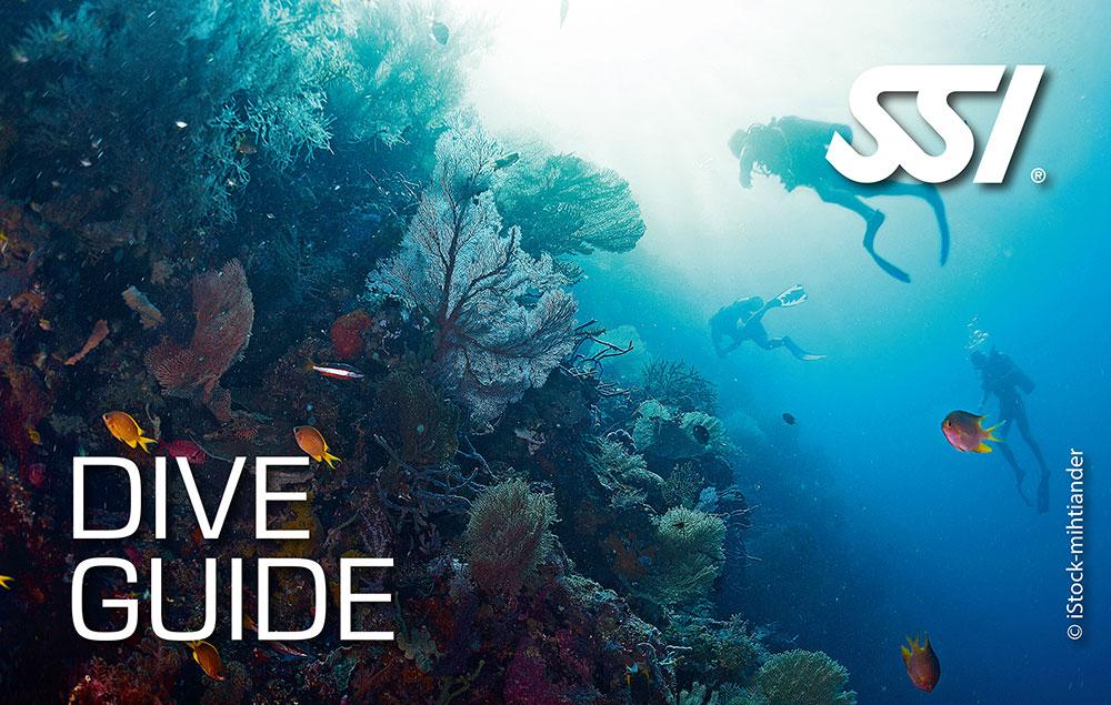 SSI Dive Guide / Divemaster