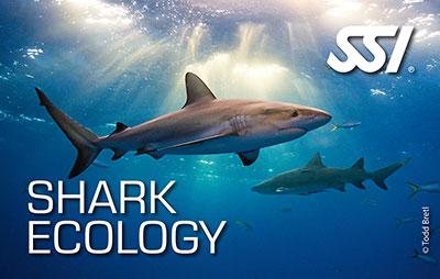 Shark Ecology